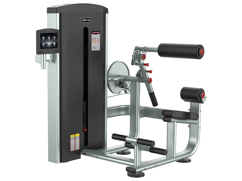 GK507A Back Extension